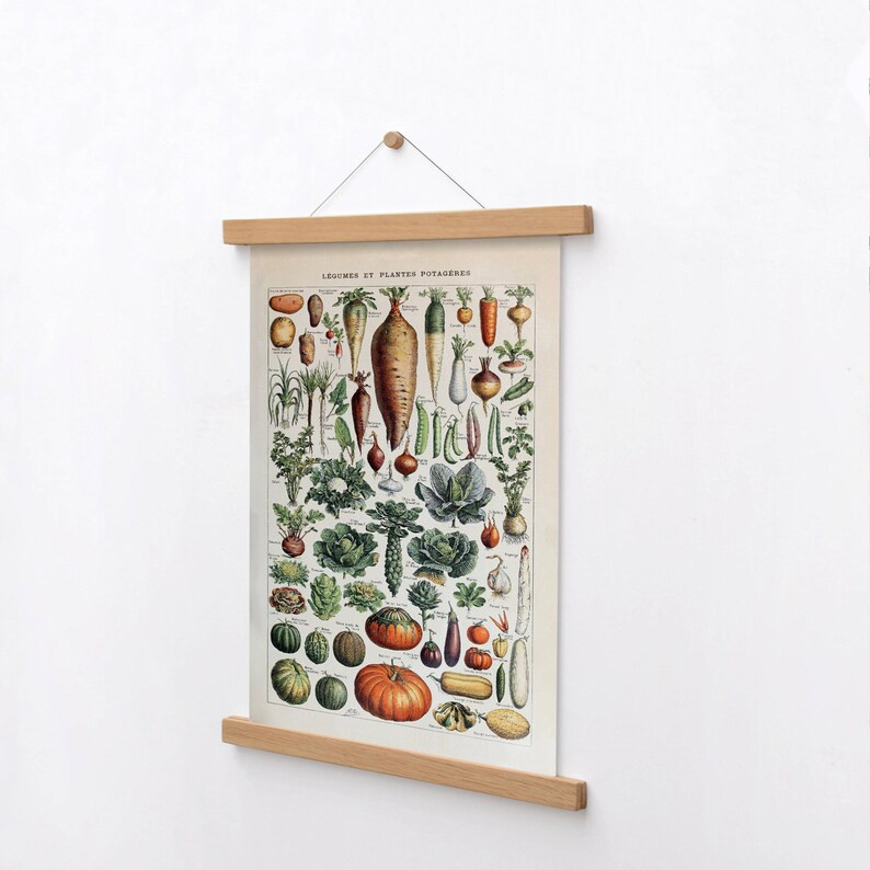 Vintage Vegetable Print 1909 Adolphe Millot Poster Home | Etsy | Etsy (US)