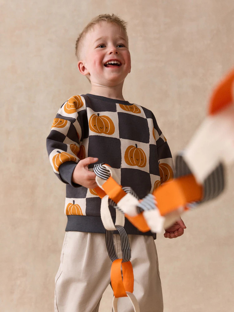 Grey/Cream Pumpkin All Over Printed Crew Neck Sweat Top (3mths-7yrs) | Next US