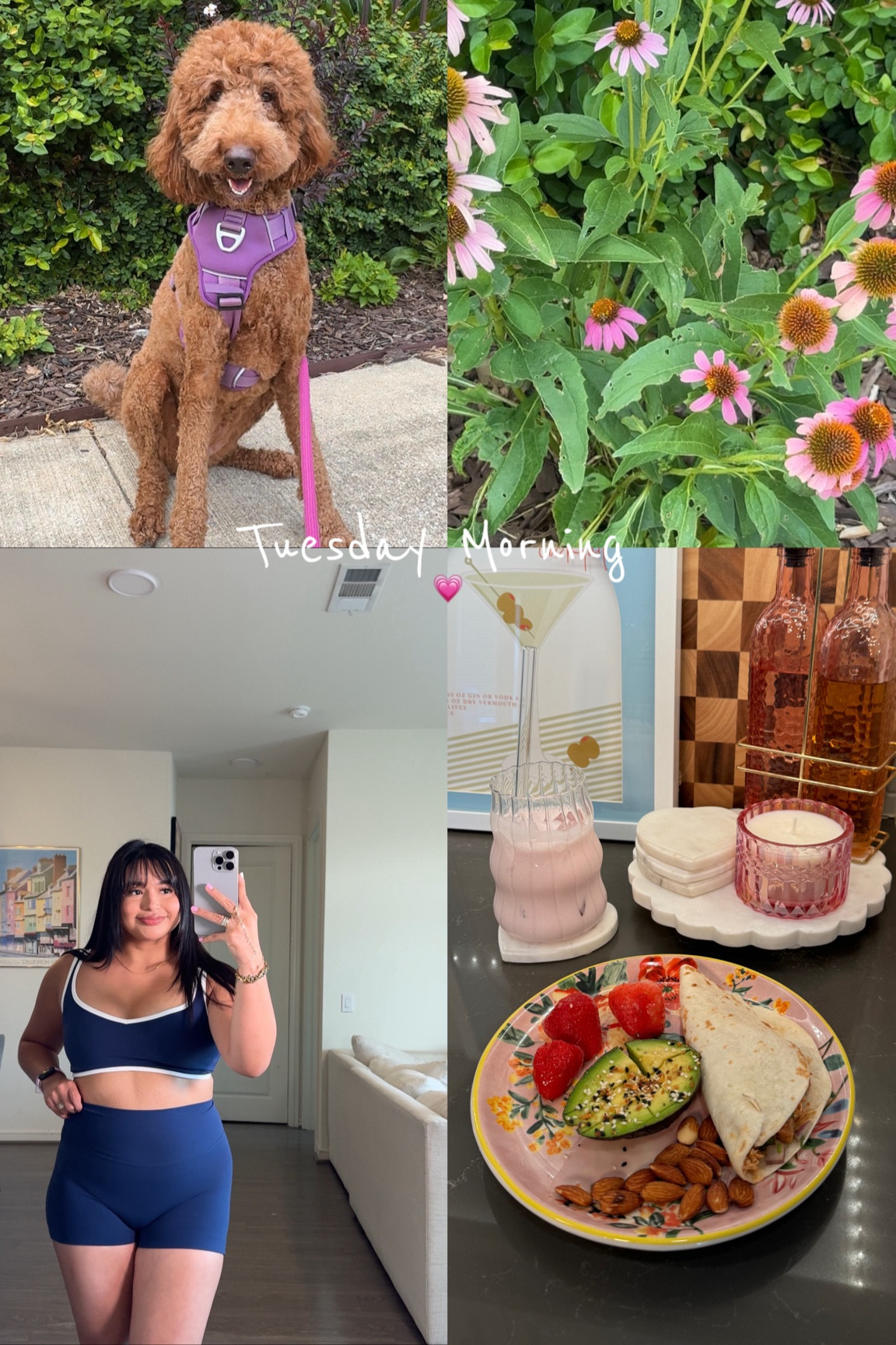 Girls!! Did yall know Abercrombie sold the cutest softest workout sets!! 😍😍

#LTKActive #LTKMidsize #LTKFindsUnder100