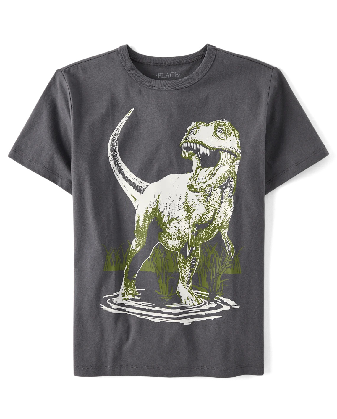 Boys Dino Graphic Tee - gray | The Children's Place
