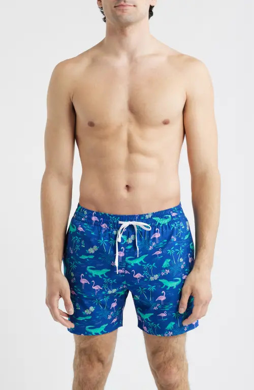 Chubbies The Swamp & Circumstance 5.5-Inch Swim Trunks in Bright Blue at Nordstrom, Size X-Large | Nordstrom
