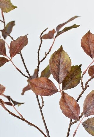 32" Faux Beech Leaf Branch Stem Brown | Michaels | Michaels Stores