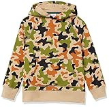Amazon Essentials Boys and Toddlers' Fleece Pullover Hoodie Sweatshirts | Amazon (US)