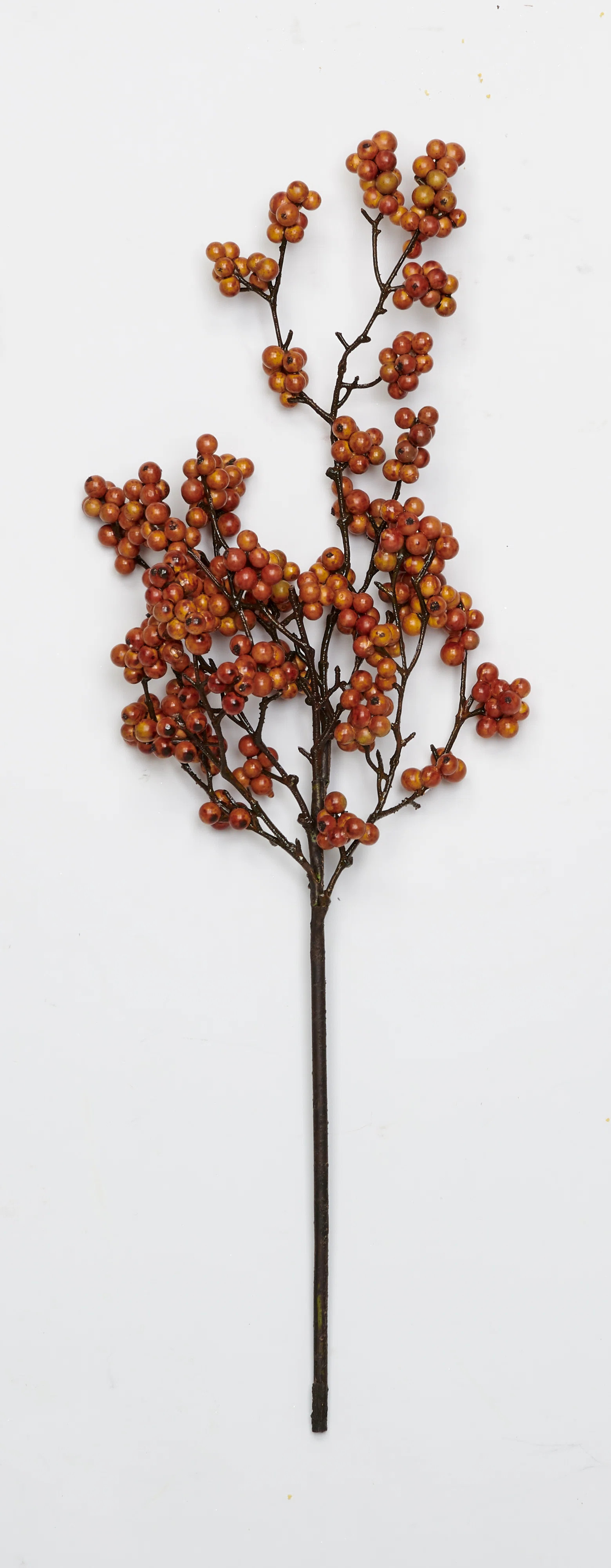 Berry Spray (Set of 3) | Joss & Main