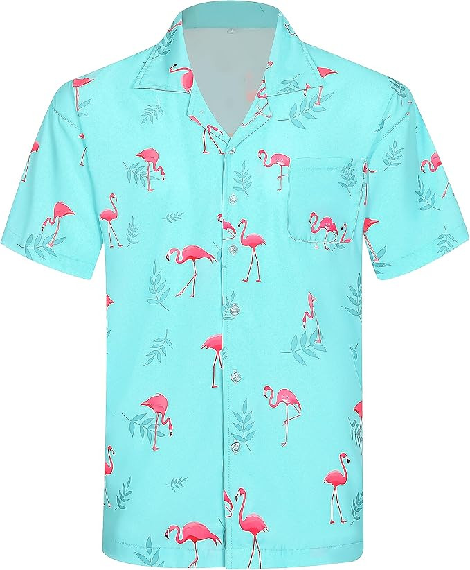 APTRO Men's Casual Hawaiian Shirt Short Sleeve Quick Dry Cruise Beach Shirts | Amazon (US)