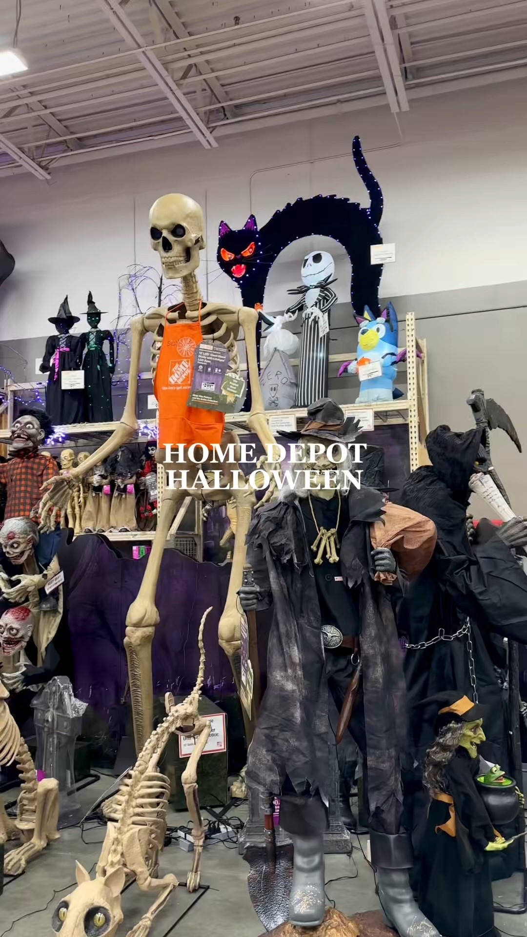 spooky season is out in full force at Home Depot! 

spooky decor, halloween decor, outdoor halloween decorations, halloween finds, giant skeleton, skelly, skeleton dog, scary decor, trick or treat, halloween partyy

#LTKHome #LTKSeasonal #LTKFindsUnder100