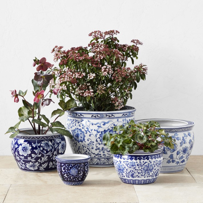 Blue & White Complete Ceramic Planter Collection | Williams-Sonoma