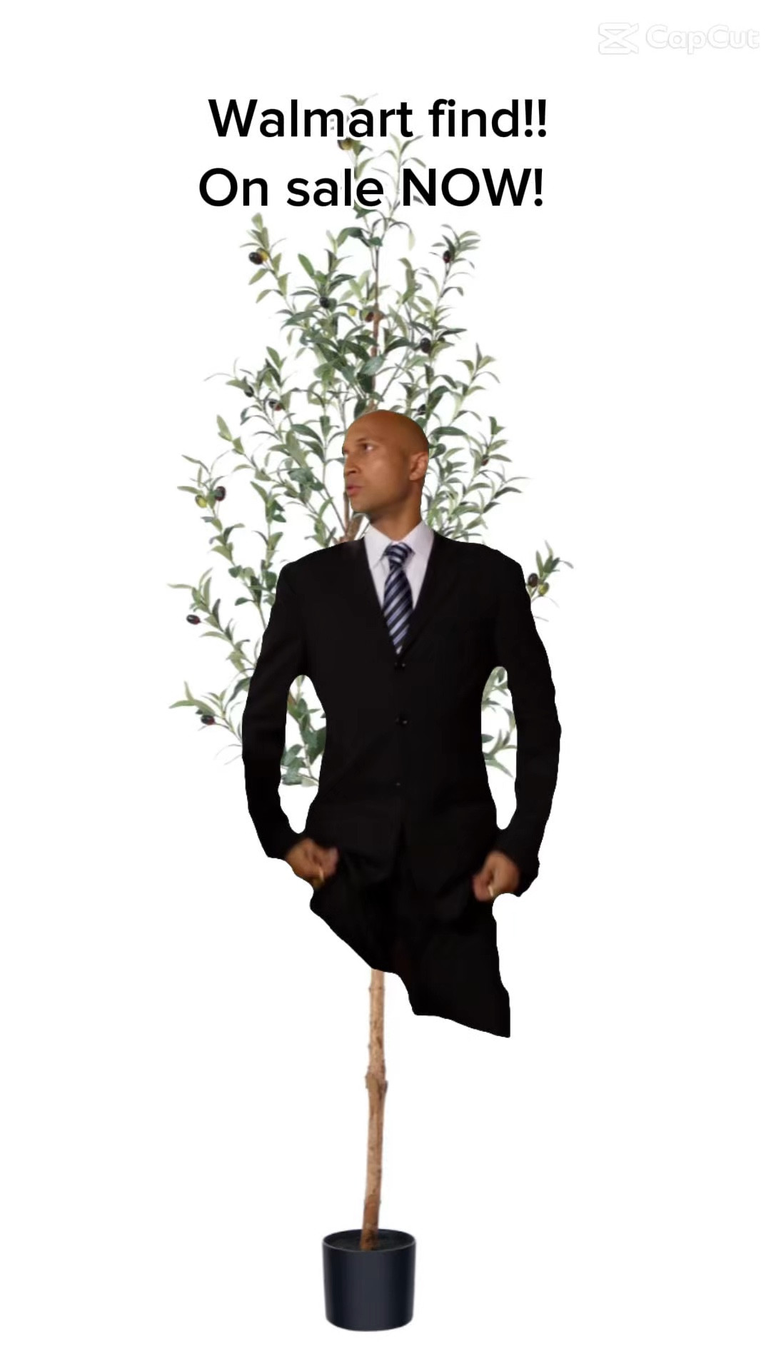 On SALE Now!  Get yourself a beautiful faux olive tree. GREAT decor piece for any home. I’ve been searching for the right one and THIS. IS. IT.  Get yourself today while they last!! 

#LTKSeasonal #LTKHome #LTKFindsUnder50