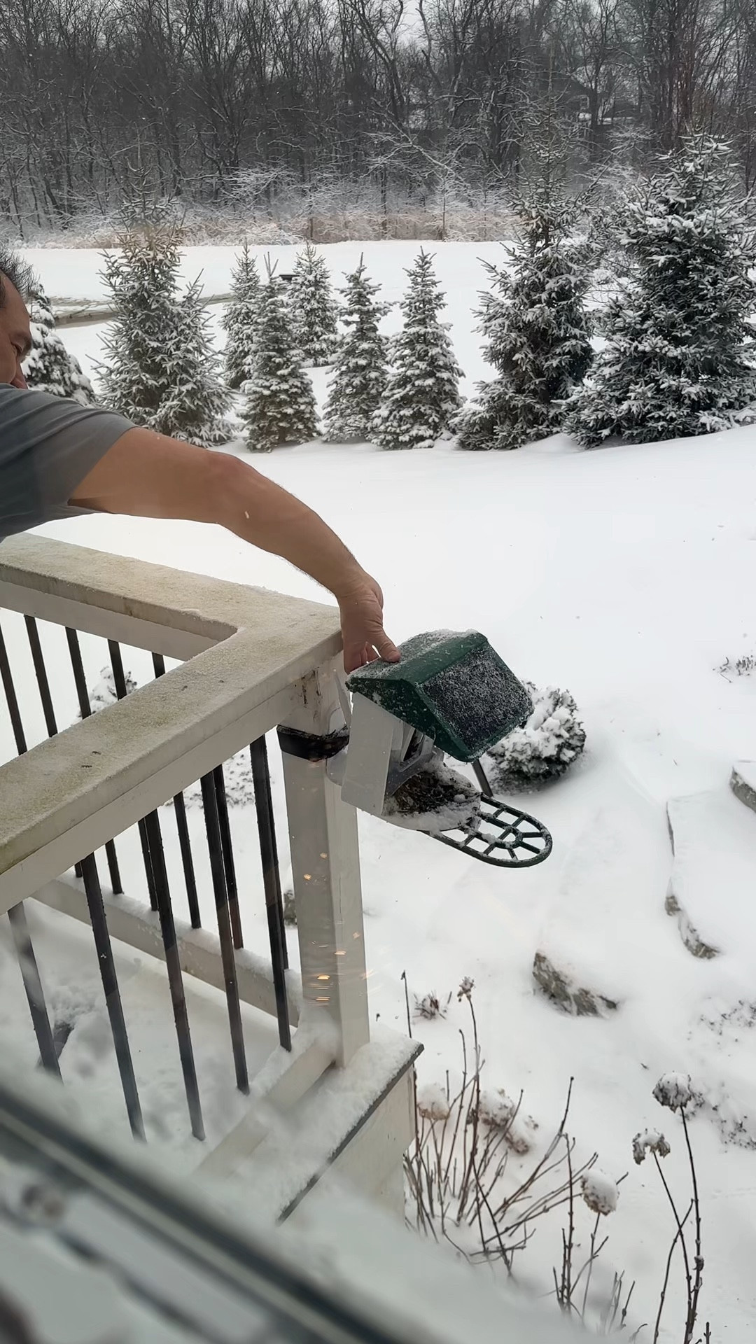 I love this bird feeder.  It has a camera and can identify what birds are visiting it.  

#LTKFamily #LTKHome