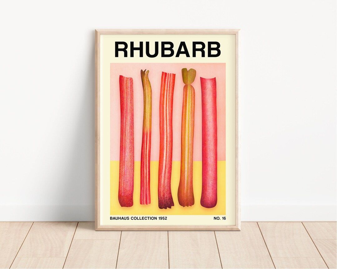 Minimalist Rhubarb Fruit Poster, Pink Retro Printable, Barbie & Bauhaus-inspired, Mid-century Mod... | Etsy (US)