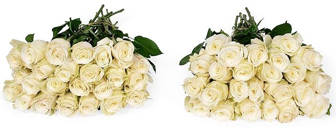 Benchmark Bouquets 50 White Roses, Prime Delivery, Vase Not Included, Grower Direct Fresh Cut Flo... | Amazon (US)