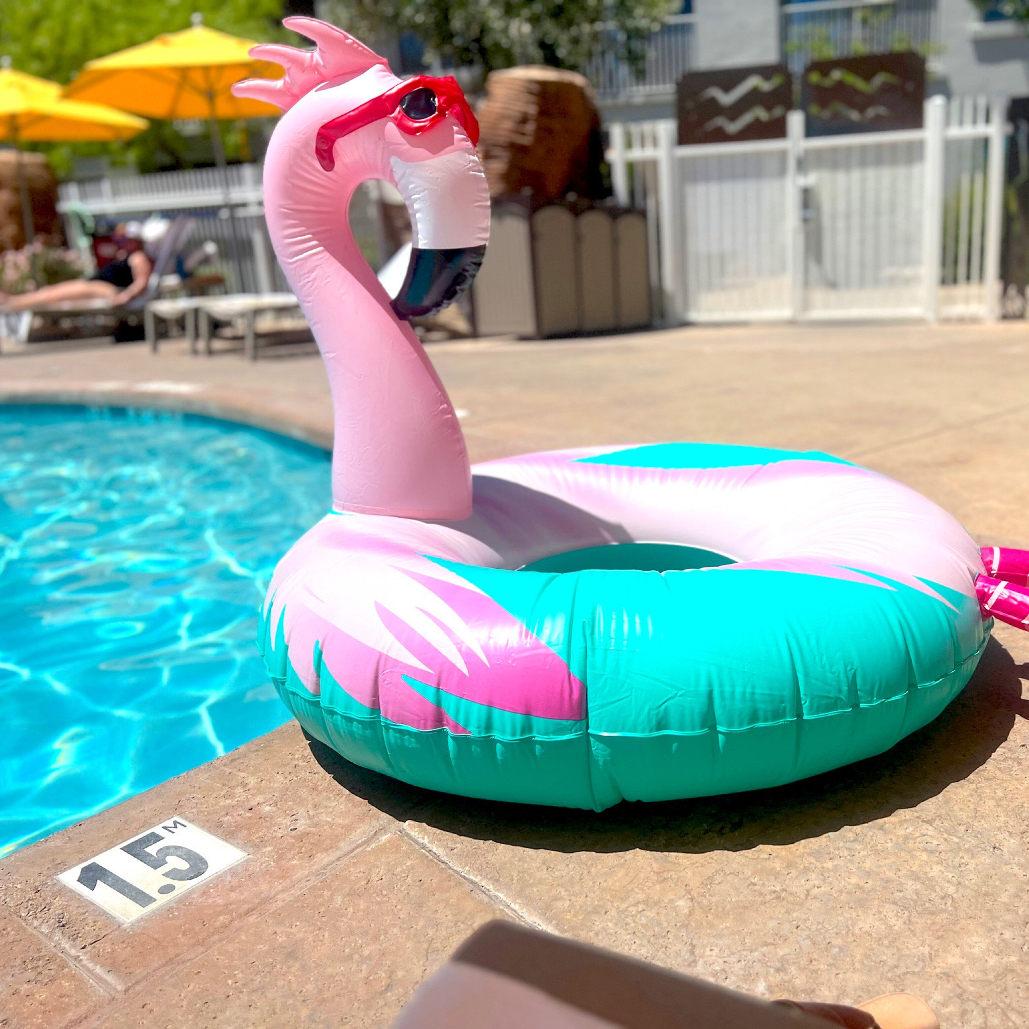 Target has some SUPER cute pool floats this year! 🤩😍🦩☀️🌊 We shared a bunch of our favorites and prices start at just $3!! 😍