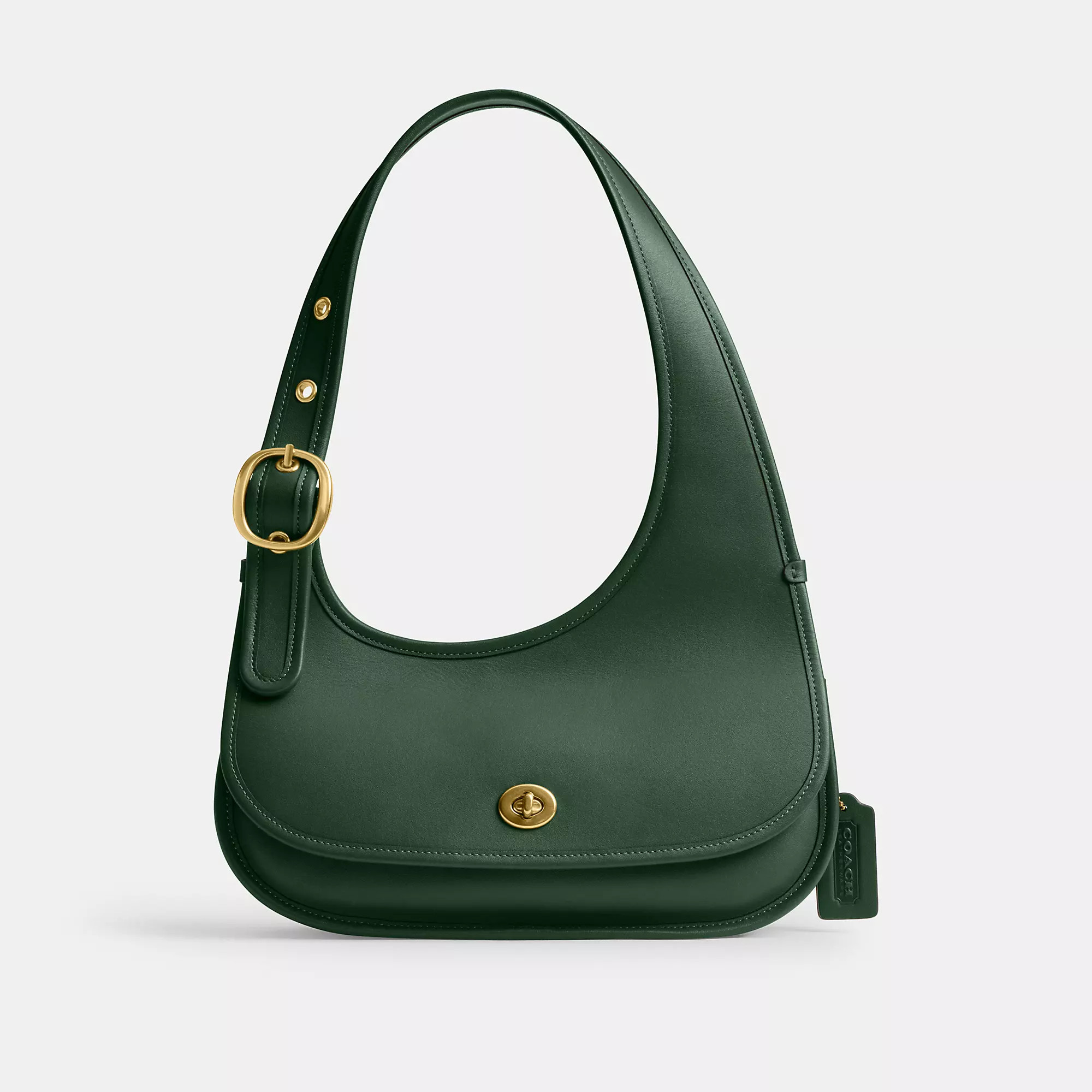 Cashin Carry Crescent Bag | Coach (US)