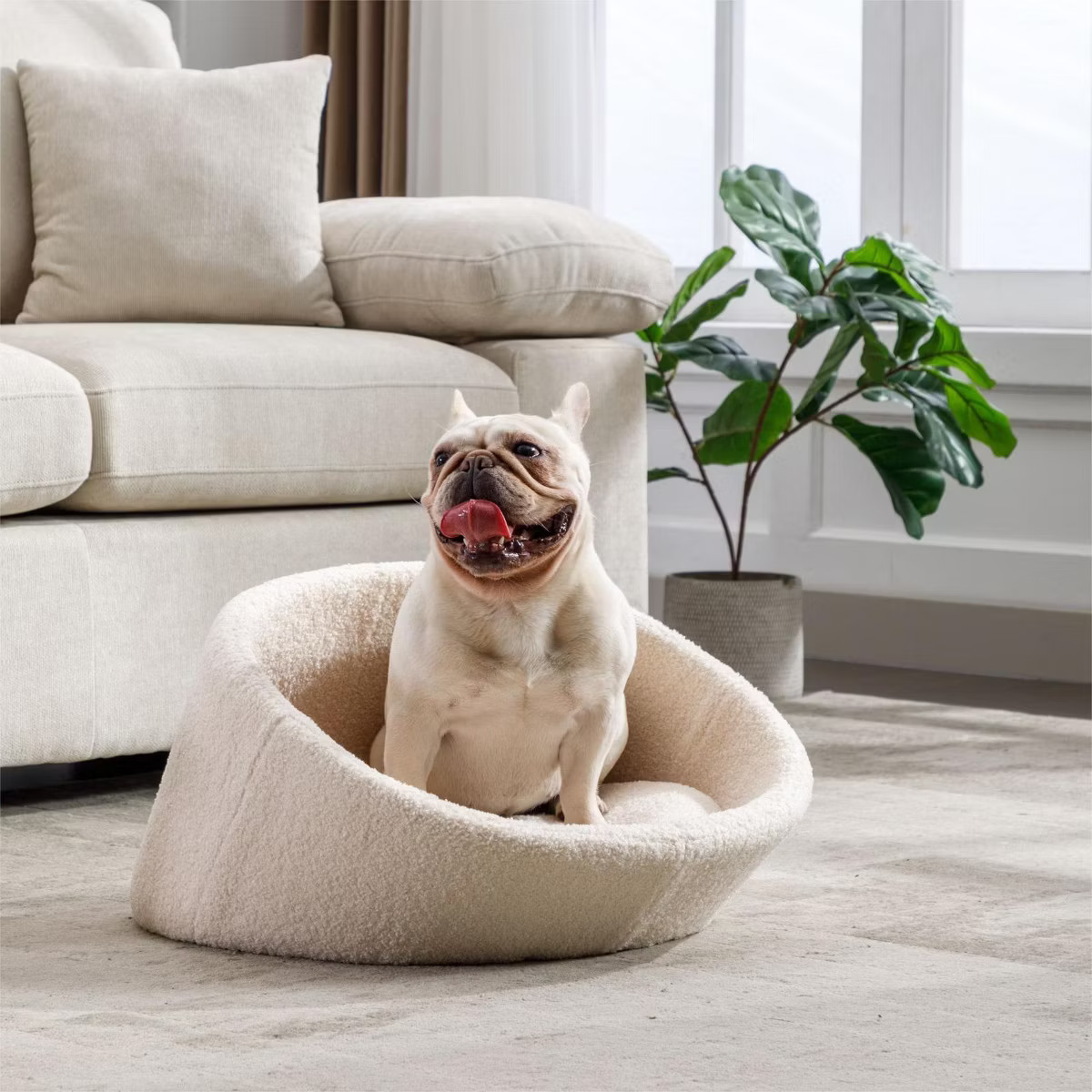 Pan Dog Car Bed,Beige Teddy Bear Dog Beds for Small Medium Dogs,Non-Slip Bottom Cat Couch Bed,Wat... | Target