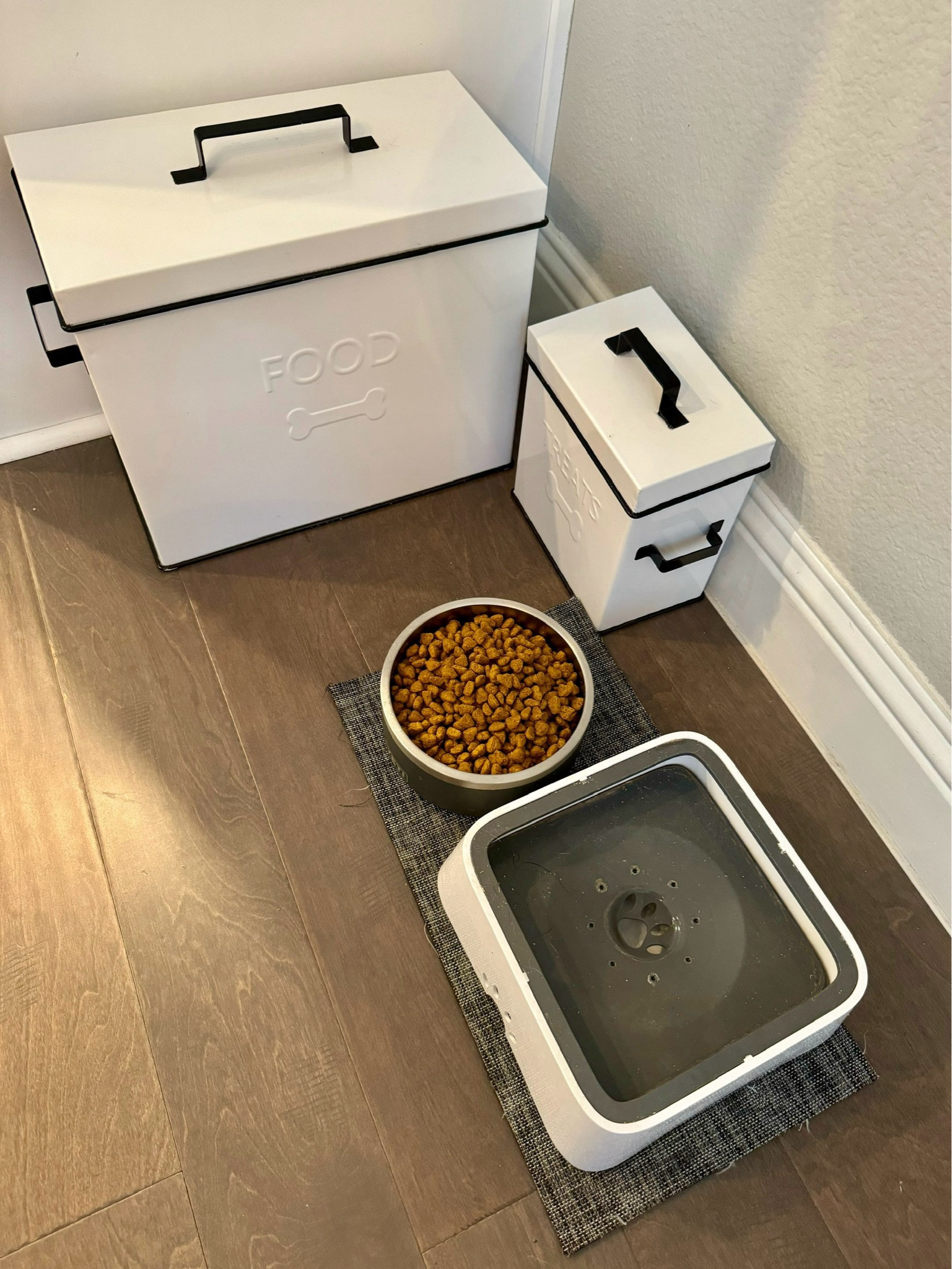 Favorite Amazon Prime deals for our furry friends 

#LTKxPrimeDay #LTKHome #LTKSaleAlert