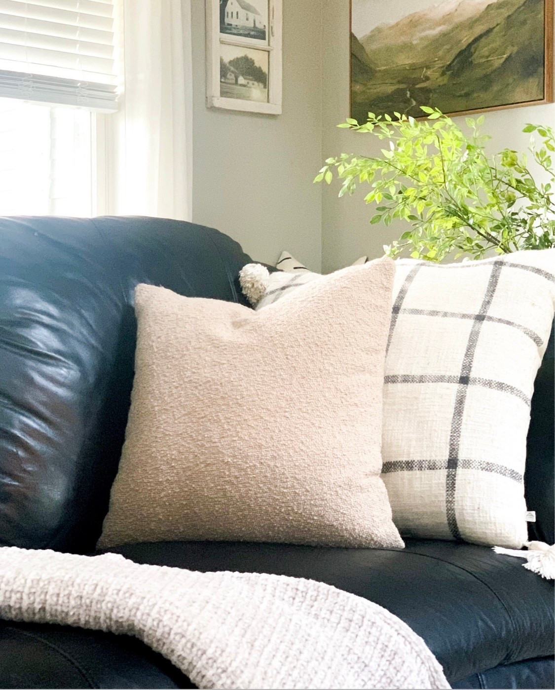 Throw Pillows 

Living room styling, couch pillows, throw blanket, greenery, stems, home decor, amazon deals, Amazon home, amazon finds, Walmart finds, Walmart home, wall decor, living room decor 

#LTKHome