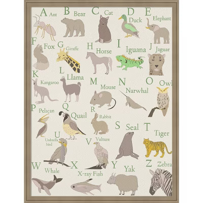 Amanti Art 26 x 34, Framed Fabric Pinboard Animal Alphabet II by Regina Moore Printed Bulletin Board | Target