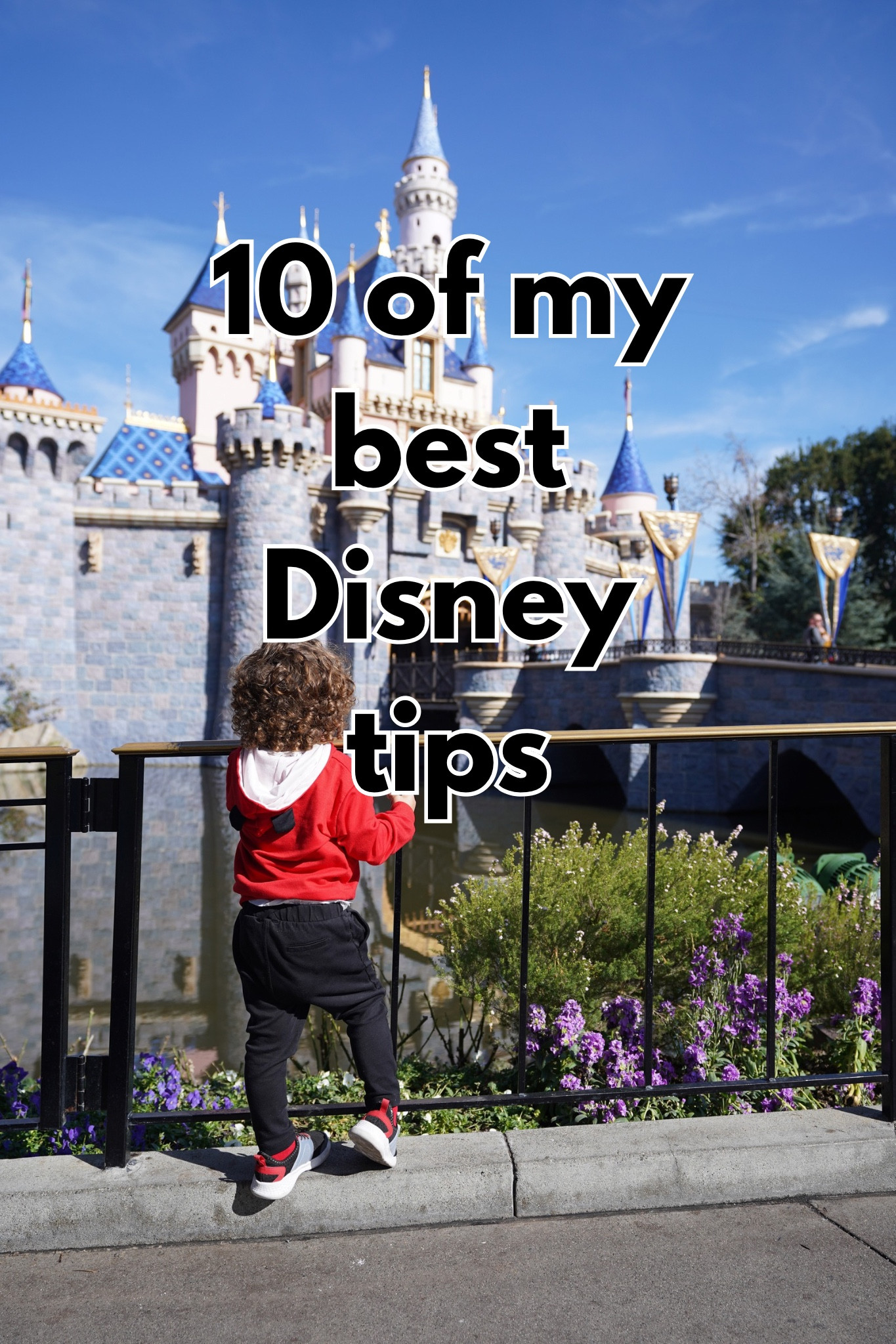 The products mentioned in my reel of 10 Disney tips!