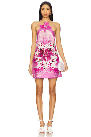 Everlee Orchid Print Mini Dress
                    
                    AMUR | Revolve Clothing (Global)