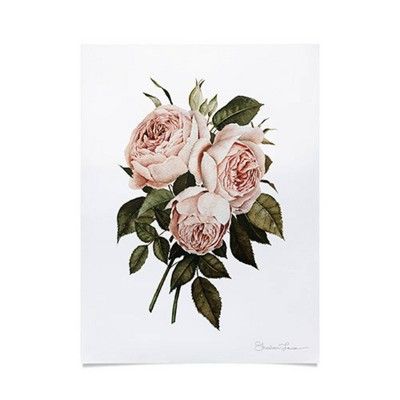 Shealeen Louise Three English Roses Unframed Wall Poster Print Pink - Threshold™ | Target
