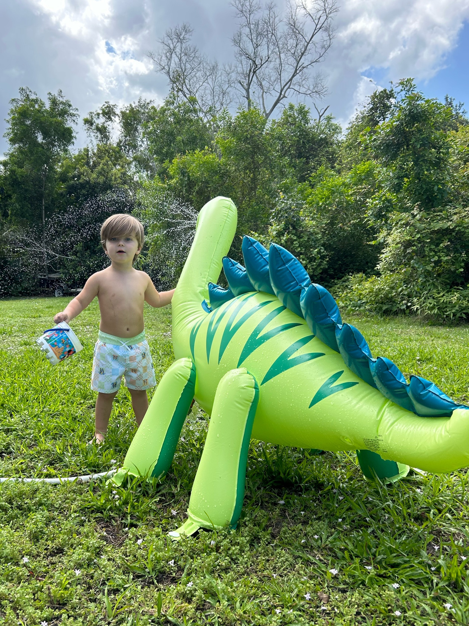 Swim trunks and dinosaur sprinkler on sale

Target circle week | target deals | baby | toddler | kids | bluey | Dino | outdoor toys | sun squad | summer fun 

#LTKkids #LTKxTarget #LTKfindsunder50