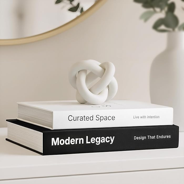 Set of 2 Decorative Books with Hidden Storage – Modern Faux Book Box Gift Set for Coffee Table ... | Amazon (US)