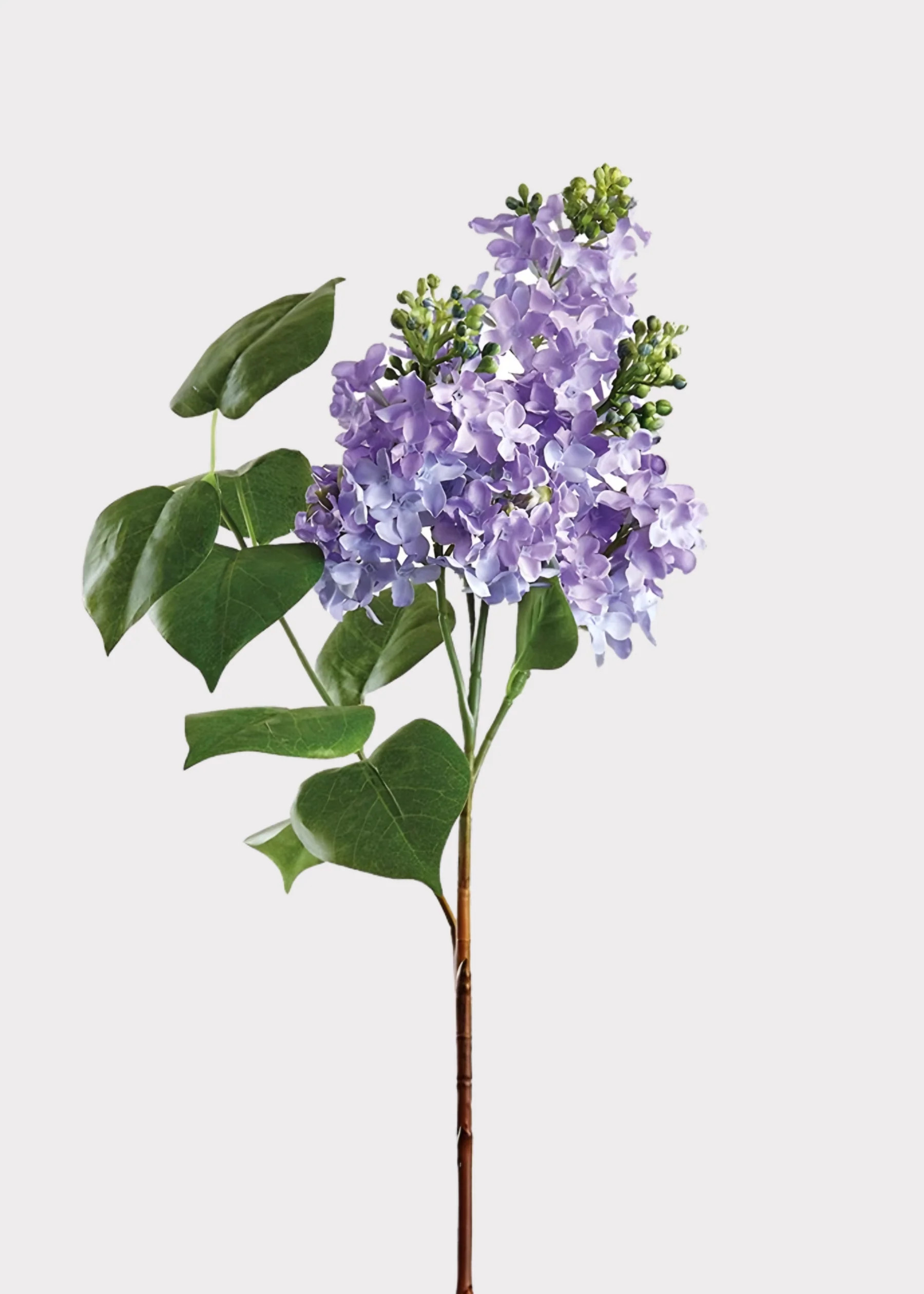 Faux Lilac Branch in Lavender | Artificial Spring Flowers | Afloral | Afloral