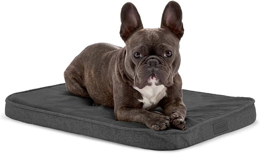 Diggs Snooz Grey Dog Bed I Memory Foam Puppy Bed I Orthopedic Dog Bed I Perfectly Sized for Revol... | Amazon (US)