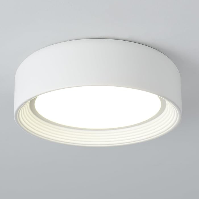 Dimmable Flush Mount Ceiling Light White,24W LED Ceiling Light Fixture,3000K-6500K 5CCT Round 11.... | Amazon (US)