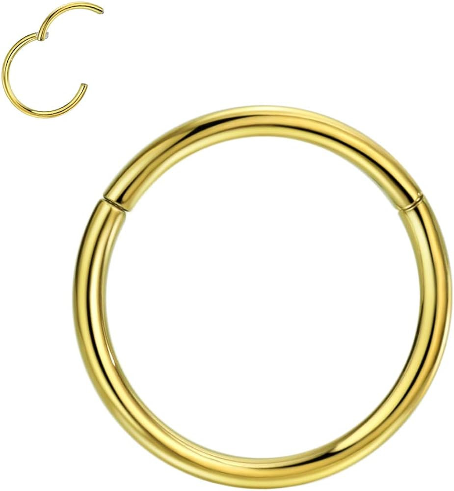 FANSING 1pc Grade 23 Titanium Body Piercing Rings for Nose Ear Lip Septum 20G/18G/16G/14G/12G/10G... | Amazon (US)