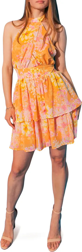 FLYING TOMATO | Nordstrom Rack