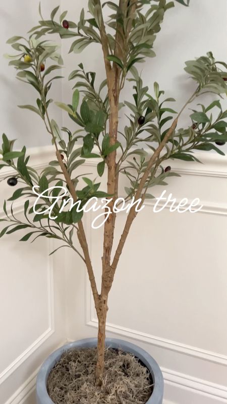 My favorite olive tree is on sale. I love this tree and the planter. 

Artificial tree, olive tree, artificial olive tree, faux olive tree, fake olive tree, olive branches, fake tree, faux tree, faux plants, faux indoor tree, faux indoor trees, fake indoor tree, artificial indoor tree, dining room tree, dining room decor, dining room olive tree, budget friendly olive tree, home decor ideas, budget tree, budget friendly decor, moss, olive tree hacks, high end decor, potted olive tree, home decor, home decor living room, home decor dining room, neutral home, corner tree, tree for corner, empty corner decor, corner decor ideas, dining room inspo, dining room ideas, outdoor decor, sale alert, deal alert, decorative tree, tree pots, amazon decor, entryway tree, entry way tree, olive tree for sitting area, fake tree for living room, fake tree for bedroom, fake olive tree for dining room, hall trees, hallway tree, hallway decor, rubber tree, hall tree, ficus tree, entryway decor, entry way decor, entry decor, entrance decor, home decor, homedecor, greenery, living room decor, living room ideas, living room inspo, tall olive tree, skinny tree, skinny olive tree, silk tree, silk ficus tree, affordable decor, affordable home decor, affordable trees, eucalyptus tree, palm tree, porch tree, faux tree for porch, potted tree, potted faux tree, potted fake tree, maple tree, small tree, small artificial tree, small potted tree, medium potted tree, bedroom decor, living room decor, office decor, dining room decor, entryway decor,  

#amyleighlife
#olivetree

Prices can change  

#LTKHome #LTKVideo #LTKFindsUnder100