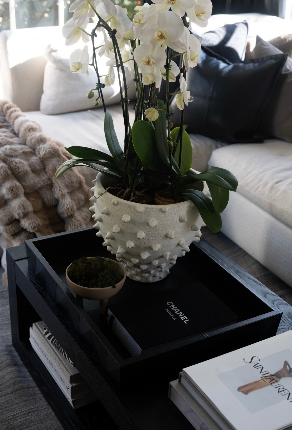 Iconic pieces don’t have to scream — they just show up and steal the scene.

These Wayfair finds are giving designer-level drama in the best way: sculptural silhouettes, bold contrast, rich texture, and that “where did you GET that?!” energy. The kind of decor that makes a room feel calm… but unforgettable.

#ad #wayfair #wayfairpartner @wayfair


#LTKHome #LTKdayinmylife #LTKmomlife