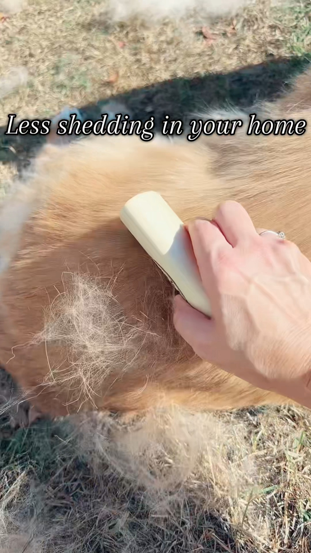 💛If you've got a golden retriever, you already know the shedding struggle.

💛My senior boy loves this EZ de-shedding brush, even post surgery he leans in for more. It's gentle. It works fast.

💛It's honestly become our favorite outdoor bonding routine if your dog deserves comfort and you deserve a cleaner home, this brush is worth it.
#dogmom #goldenretriever 

#LTKPets #LTKdayinmylife