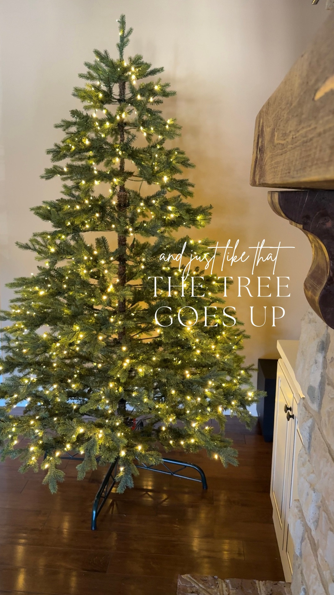 Game day turned tree day 🏈🎄 My niece couldn’t wait to help put up the new King of Christmas tree—surprised my mom with it after she mentioned wanting something more realistic! First time ever having it up before Halloween, but no regrets 🙃

Featured Tree:
7.5' Rushmore Fir Artificial Christmas Tree 750 Warm White LED Lights

#LTKFamily #LTKHome #LTKHoliday