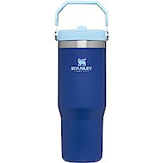 Stanley IceFlow Stainless Steel Tumbler with Straw - Vacuum Insulated Water Bottle for Home, Offi... | Amazon (US)