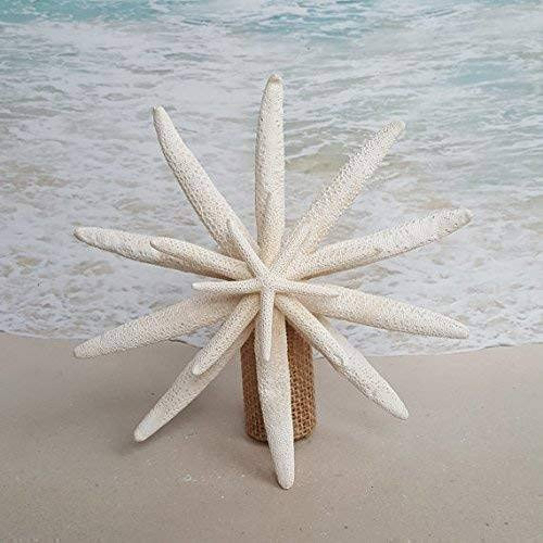 Starfish Tree Topper 7-8" for Christmas Tree | Amazon (US)