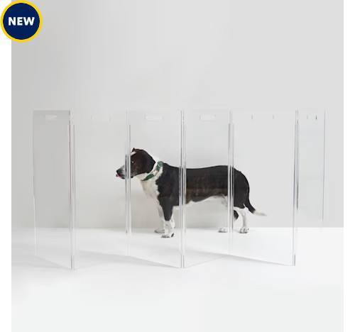 Hiddin Zig Zag Panel Clear Freestanding Pet Gate, 0.25" L X 90" W X 30" H | Petco