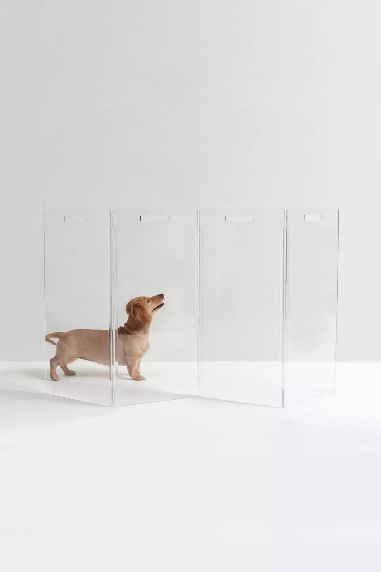 Hiddin Clear Freestanding Gate Zigzag Dog Panel | Anthropologie (US)