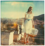Desolate (Haley and the Birds) Photography by Stefanie Schneider | Saatchi Art