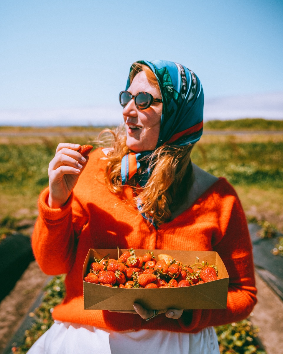 Strawberry picking outfits 

#LTKFindsUnder100 #LTKTravel #LTKMidsize