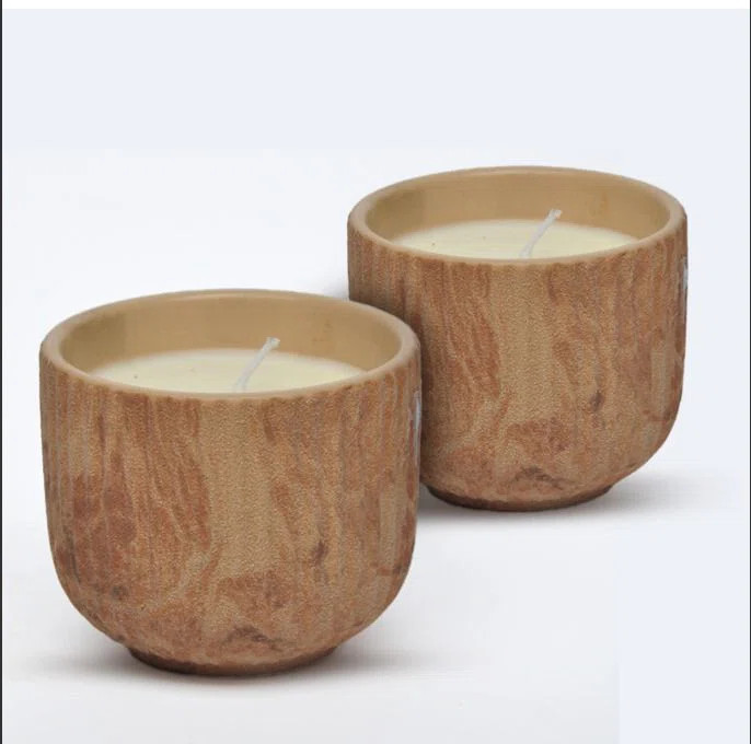 Plant / Floral Scented Jar Candle (Set of 2) | Wayfair North America