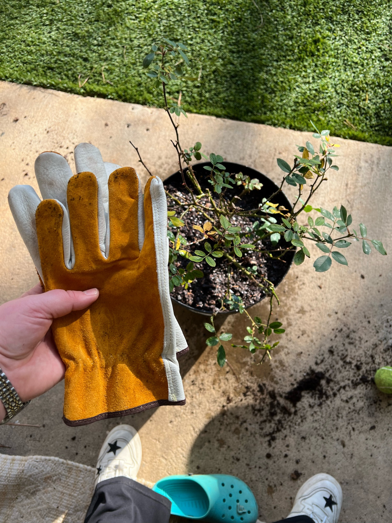 Best #garden #gloves anyone could have!!! 

#LTKworkwear #LTKSeasonal #LTKstyletip