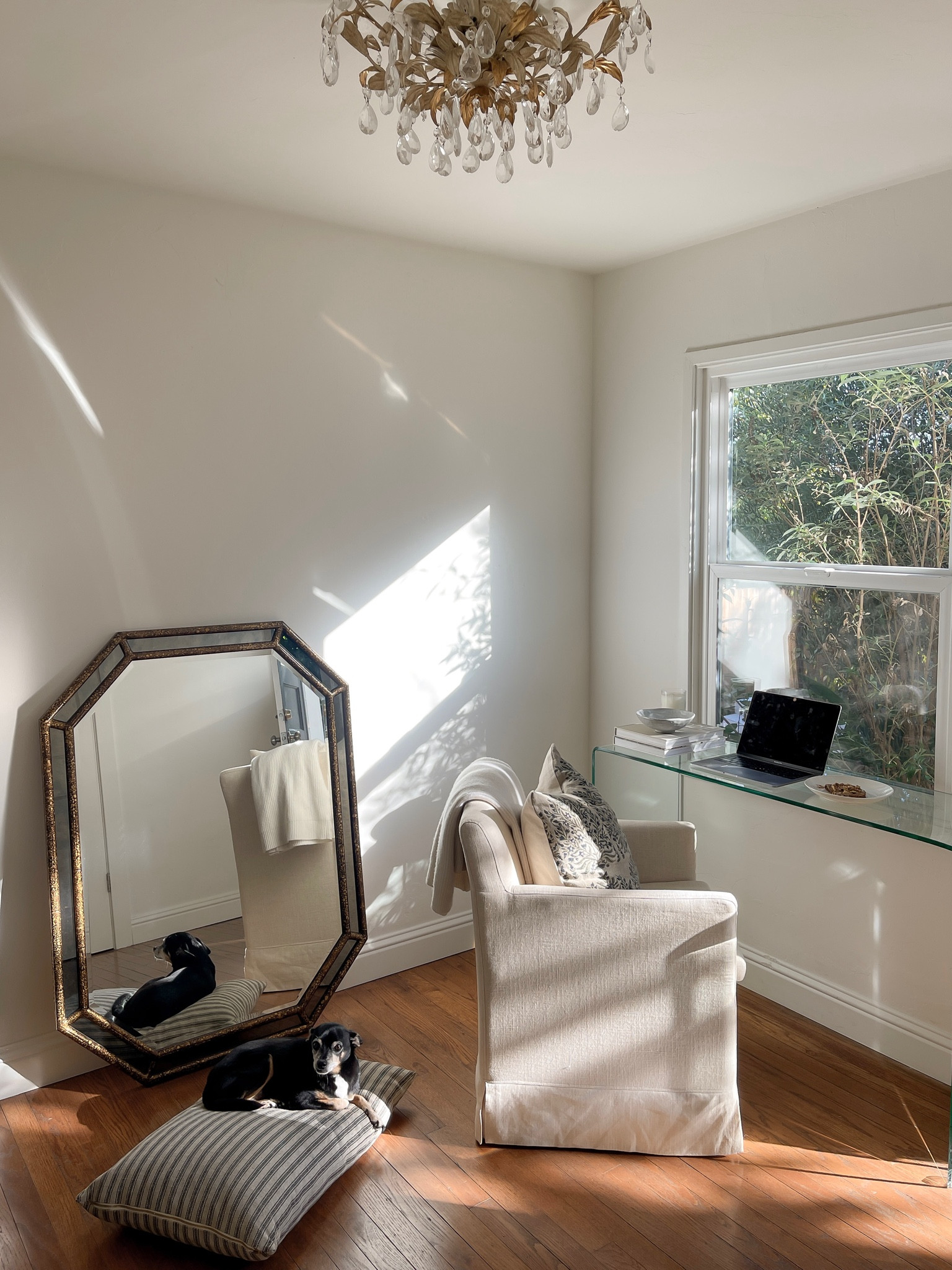 Office space 〰️

#LTKunder100 #LTKhome #LTKstyletip