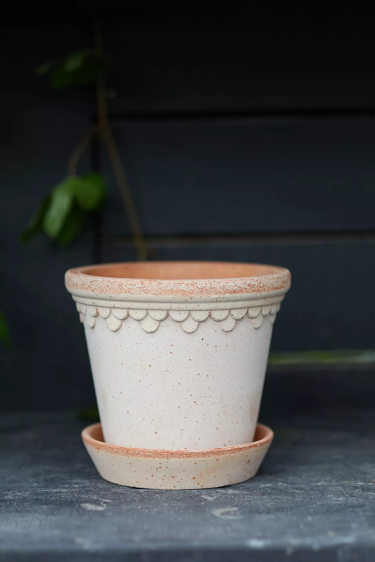 Bergs Palace Pot + Saucer | Anthropologie (US)