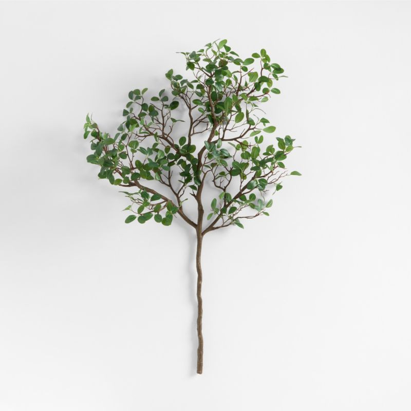 Faux Manzanita Leaf Spray 51" | Crate & Barrel | Crate & Barrel
