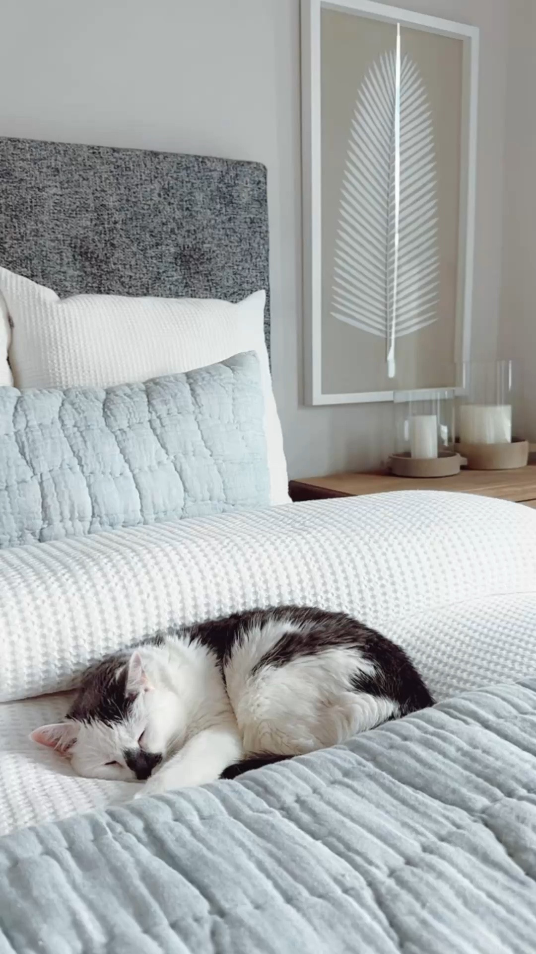 COASTAL HOME DECOR + BEDDING ON SALE!

modern coastal home, master bedroom, beach home, white bedding, white comforter, blue bedding, pottery barn, Florida home, coastal bedroom, duvet, cozy, bright, airy, driftwood, natural wood nightstand, bedroom furniture, neutral bedroom, chandelier, candles, console table styling

#LTKSaleAlert #LTKSeasonal #LTKHome