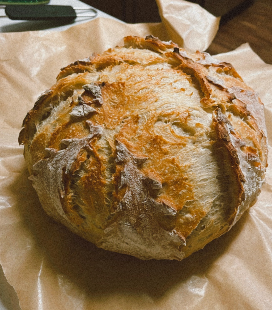 fresh baked sourdough

#LTKSeasonal #LTKFindsUnder50 #LTKHoliday