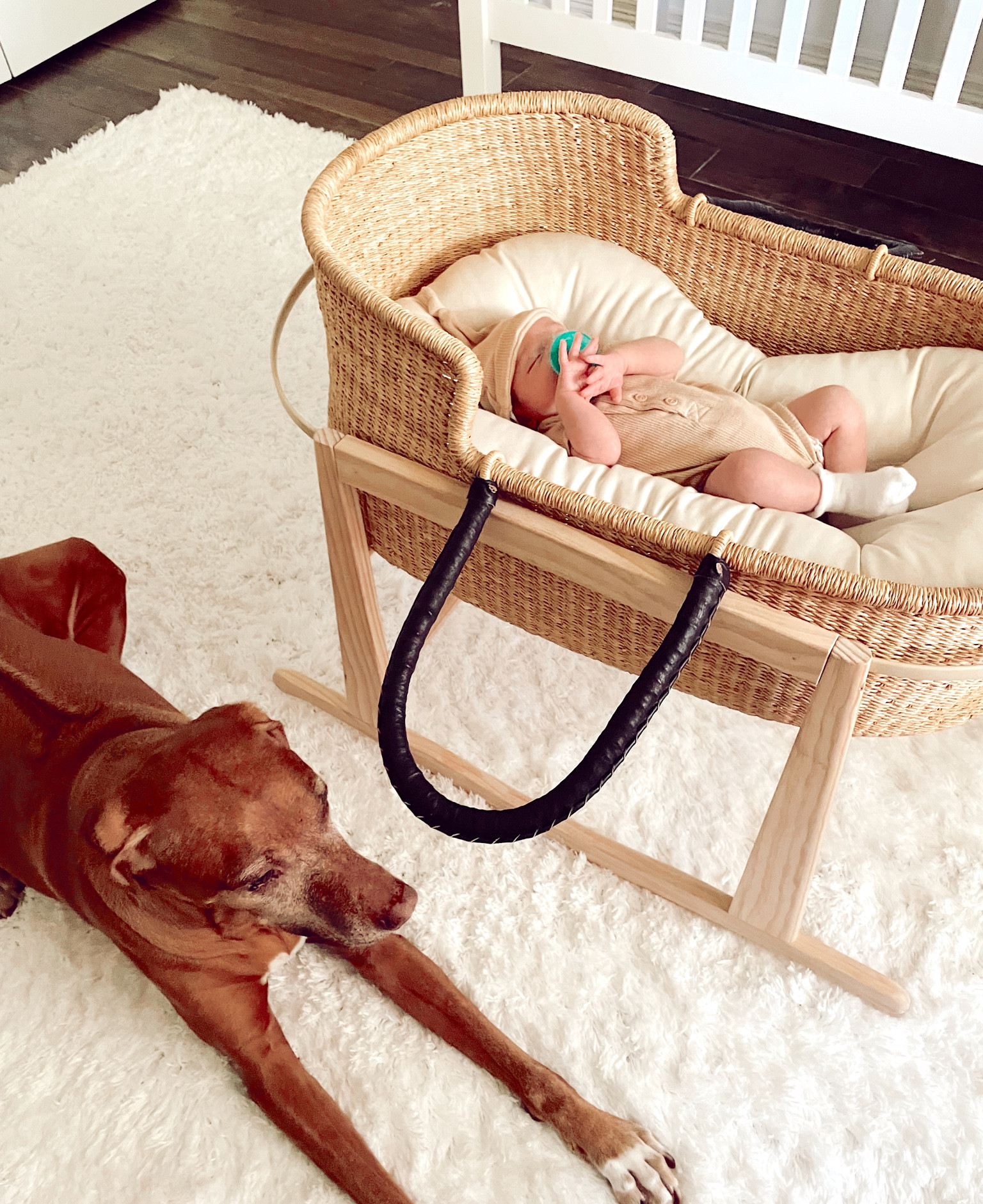 Baby
Nursery 
Bassinet basket 
Snuggle me infant lounger 
Baby neutral outfits 
Pacifiers 
Nursery rug 

#LTKfamily #LTKbaby #LTKhome