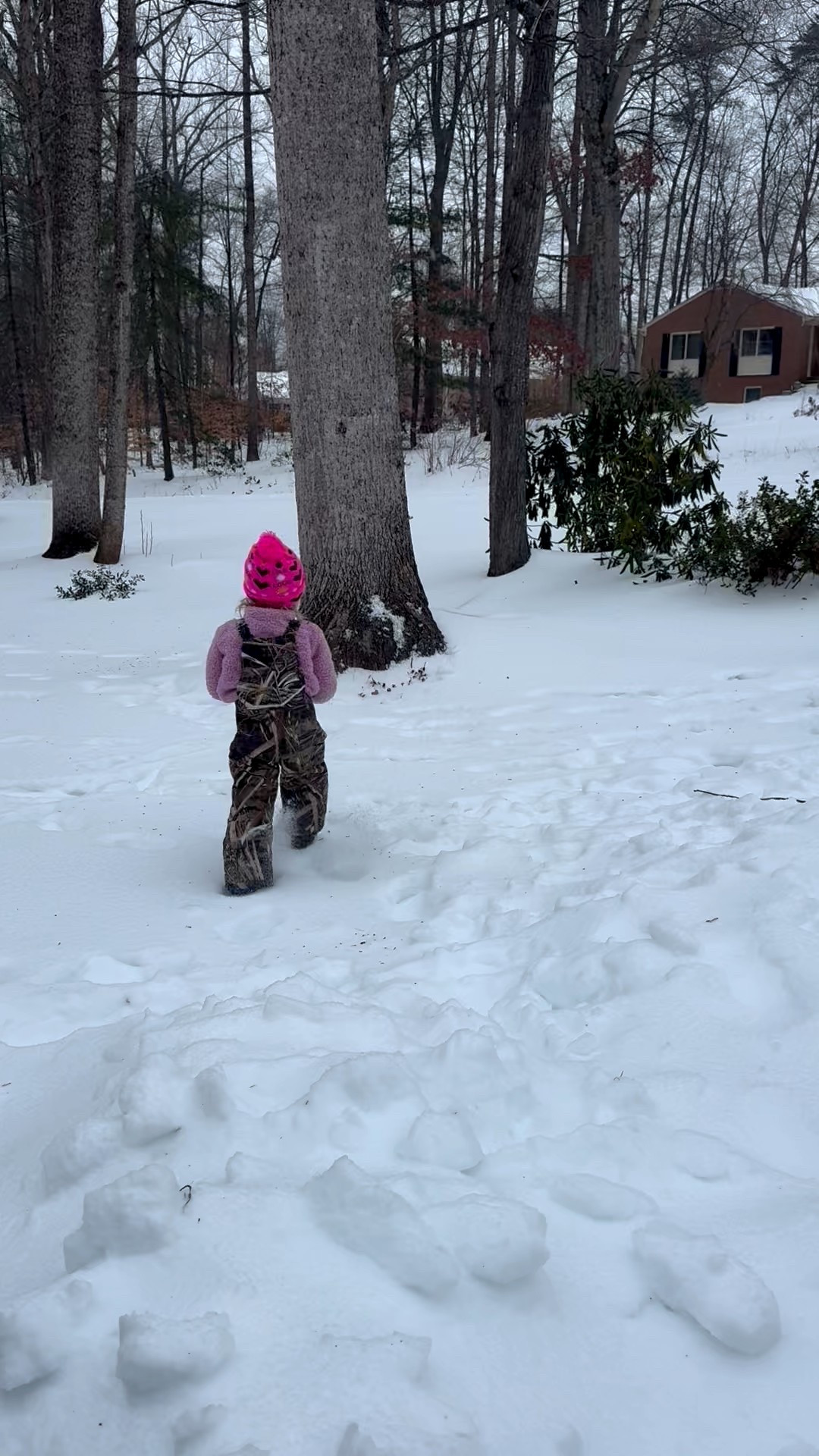 Our favorite snow bibs!! All the kids have these and we love them! Amazon find from years ago! ❄️❄️

#LTKmomlife #LTKKids #LTKSeasonal